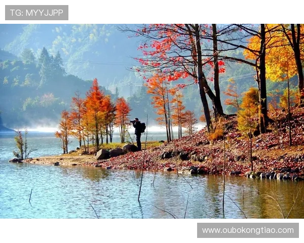 优化叶汉三株路技巧提升摄影作品艺术感染力的实用经验分享 优化叶汉三株路技巧提升摄影作品艺术感染力的实用经验分享